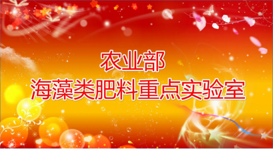 �r�I������������c�����������º��弯�F