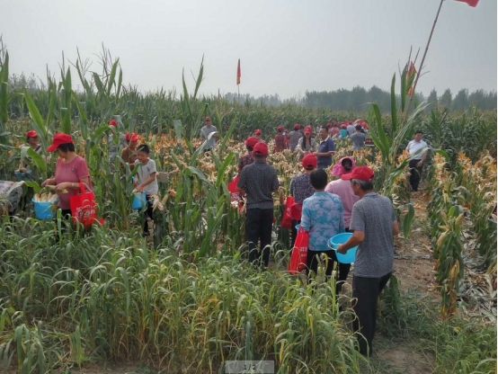 �������������Є�ϵ�С����ۺϰ�������Ч��������ʹ��Ч���y�a��