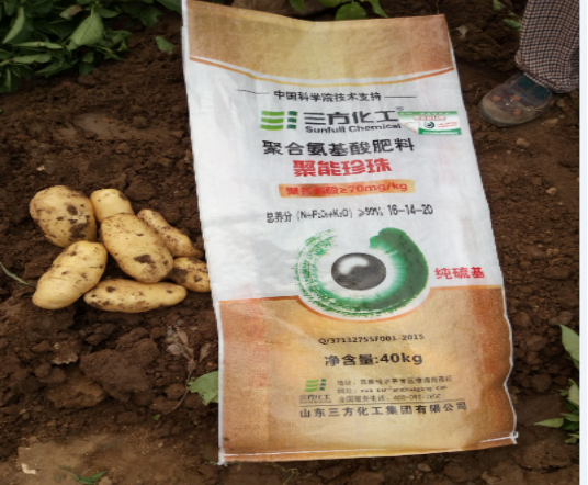 ���݃��|�R����^Ħ��  �����۰�������@����