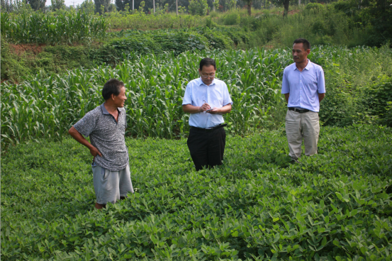 ����������ؚ��  �����L���@Ч��