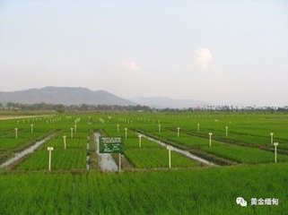 ���컯�_�l(f��)�����r(n��ng)�I(y��)�Ј�