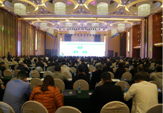 2018�������S�����I�N����������_