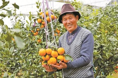 �F�����󣺃�(y��u)�|(zh��)�a(ch��n)Ʒ�ͷ���(w��)�������t���ˡ����ٮa(ch��n)�I(y��)������