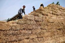 ʢ��׷�ʿ��ܡ������r(n��ng)����