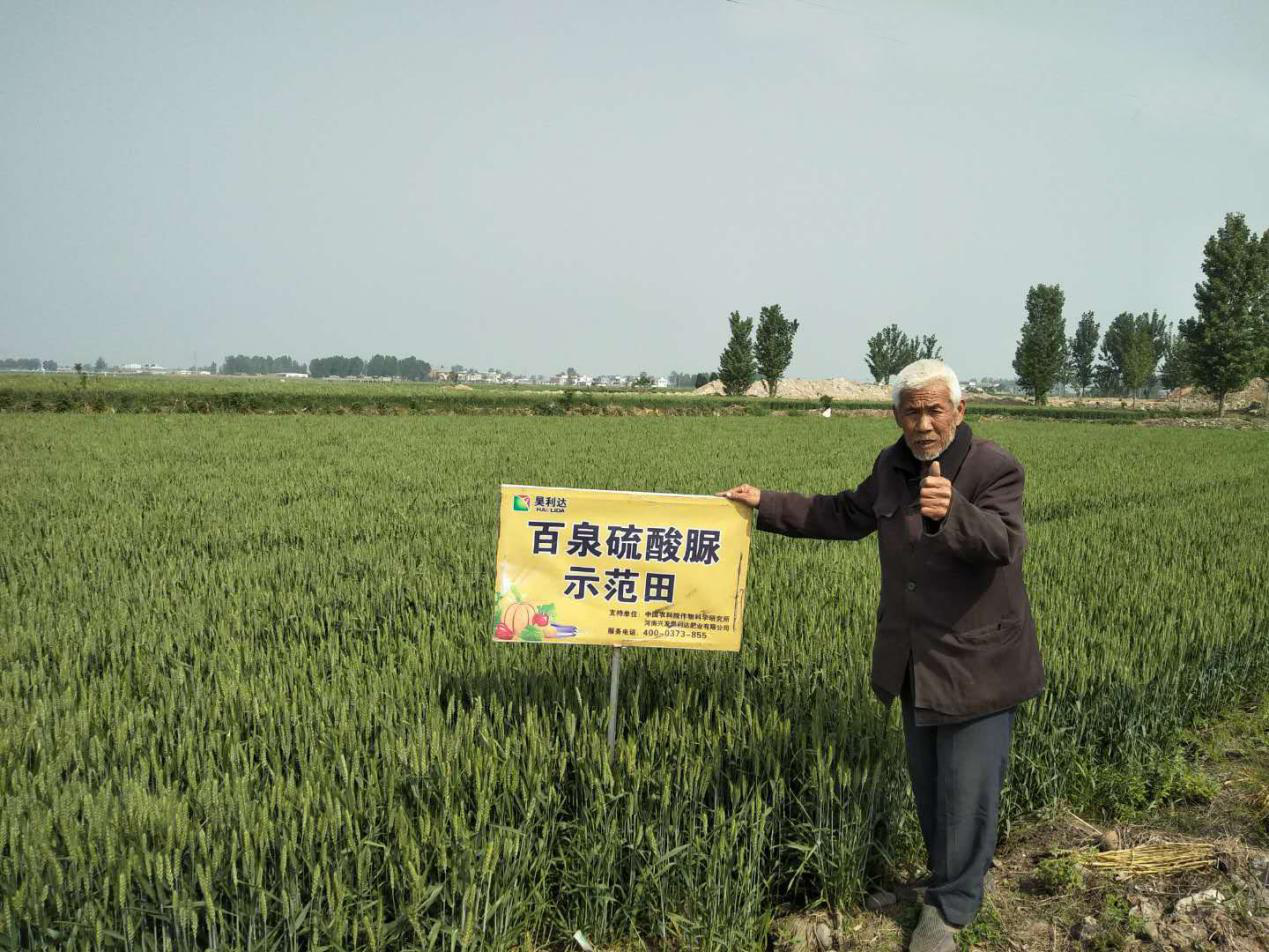 С�������룬��Ȫ�������@������