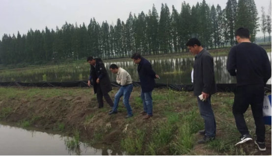 �л��r������Ʒ�|�fԒ �ƌW���Ͼ��������11483.png