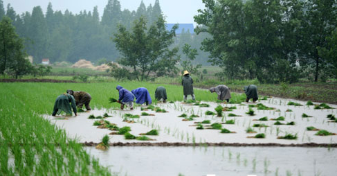 �л��r���� Ʒ���A���� �ڱ����ķ�(1)932.png