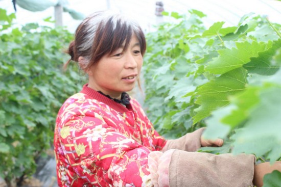 �e�ӡ�520��