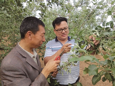 �����S�o���͸���