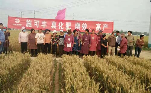 ʩ���S���ʼ����_չ���N��ʽ�I�N���N���