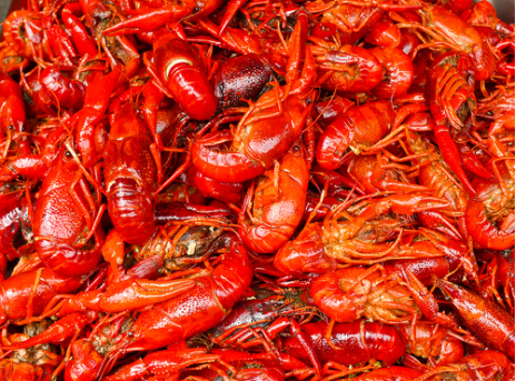 �l���l֪�� Ч��������