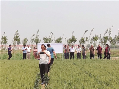 ��ֵ��ø�������r(n��ng)���a(ch��n)����