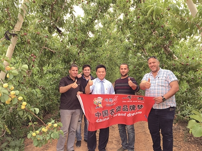 �ɿ����ء�һ��һ·�����M(j��n)�s��