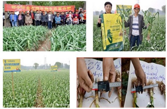 �������B(t��i)������t(y��)�r(n��ng)�I(y��)  �ɹ��S�Tδ������1159.jpg