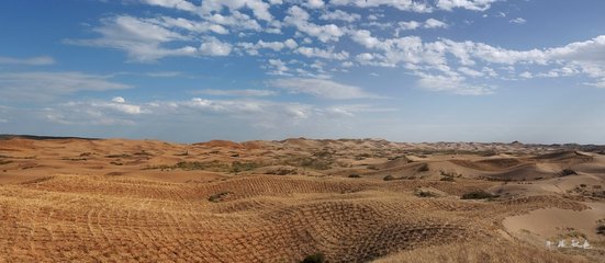 ���ܻ������_ë����ɳĮ