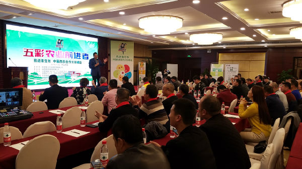 ����ʾ���(zh��n)�r(n��ng)�I(y��) ǰ�M(j��n)������y��Ʒ�M(j��n)܊�����Ј�(ch��ng)