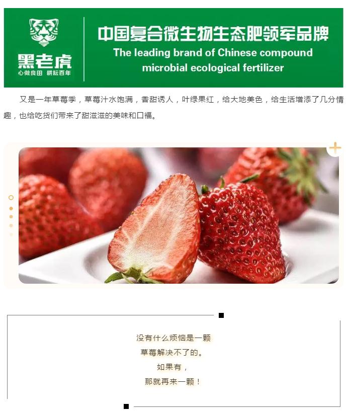 �����ϻ�������+�������N���Ĳ�ݮ��һ��