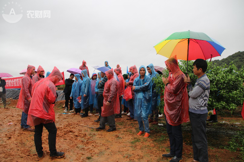 ʲô�ǚ����ǣ��r��ð��ҲҪȥ�W��