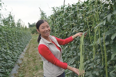 ��Ų���ơ��p�K����Ч��