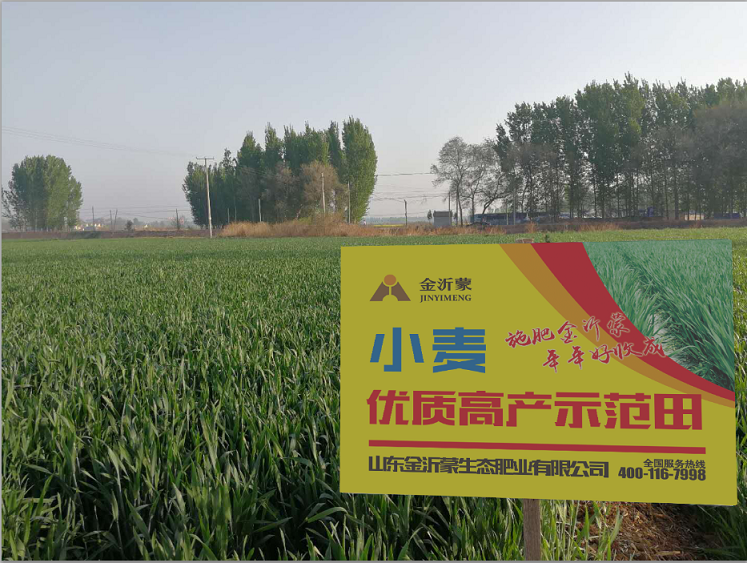 �����ɴ��조���cʽ��ʾ������׷��