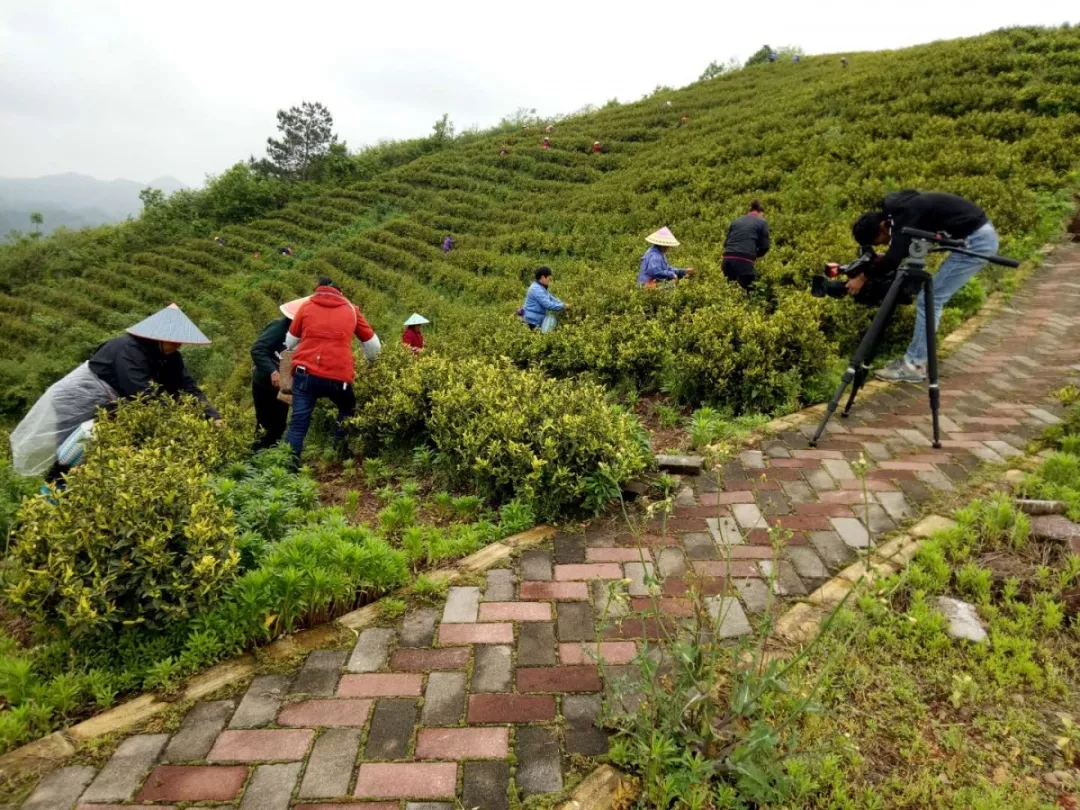 �l(f��)�������~ɫ�ס������硪�����ϻ��������n�촨�������ײ衱