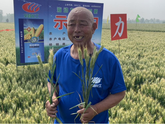 �ߜ��y���^Ħ����   &ldquo;���ӹ���&rdquo;�����A���L��494.png