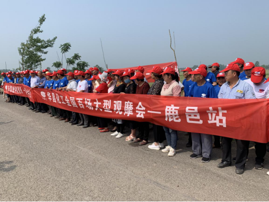 �ߜ��y���^Ħ����   �����ӹ�������A���L(f��ng)��