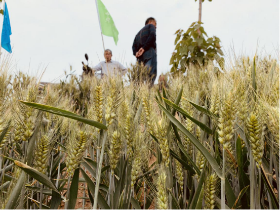 �ߜ��y���^Ħ����   &ldquo;���ӹ���&rdquo;�����A���L��2349.png