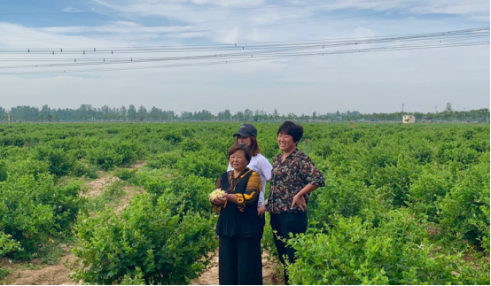 �������B���l������ȫ  ���ϻ��LҊ�C&rdquo;�S��&rdquo;�r��272.png