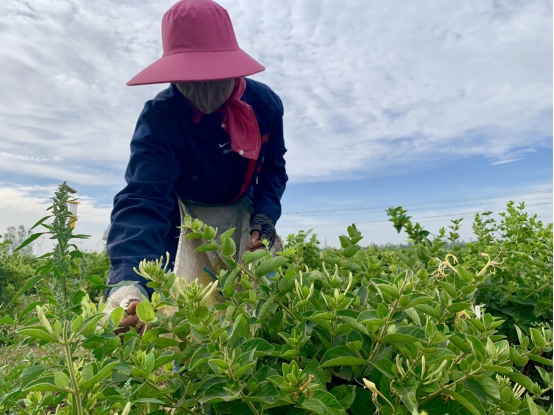 �������B���l������ȫ  ���ϻ��LҊ�C&rdquo;�S��&rdquo;�r��631.png