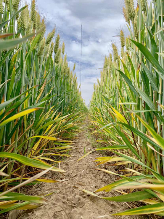 �������B���l������ȫ  ���ϻ��LҊ�C&rdquo;�S��&rdquo;�r��406.png