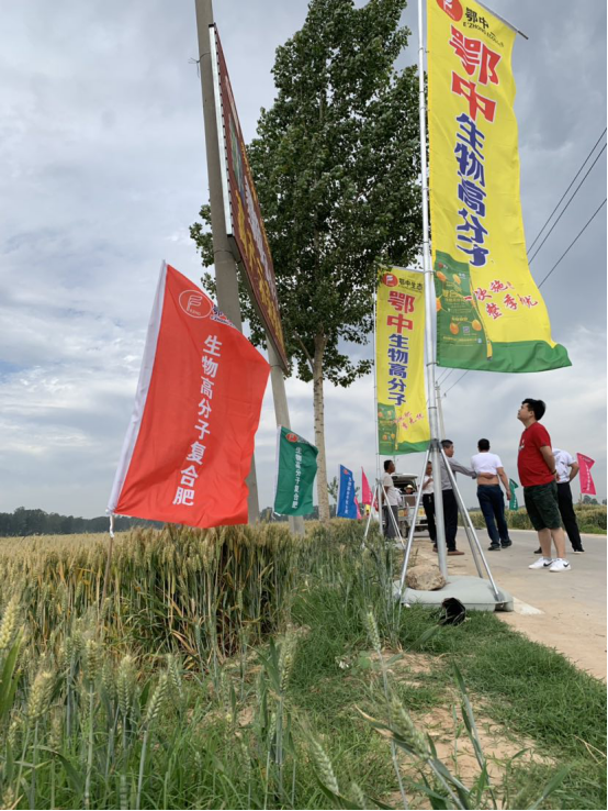 �������B���l������ȫ  ���ϻ��LҊ�C&rdquo;�S��&rdquo;�r��947.png