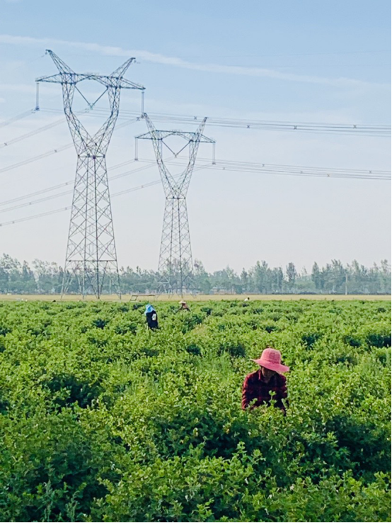 �������B���l������ȫ  ���ϻ��LҊ�C&rdquo;�S��&rdquo;�r��1317.png