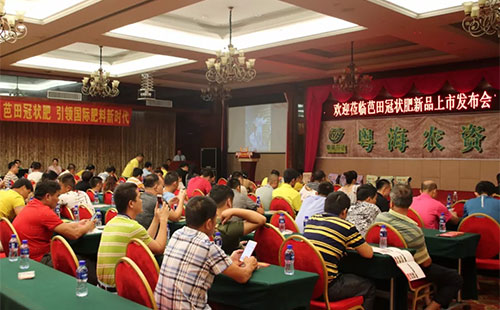 ����ڠ����ʲô��Ч����ô�ӣ�