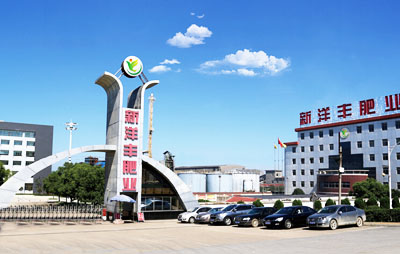 ���������S�ʘI�ɷ����޹�˾����