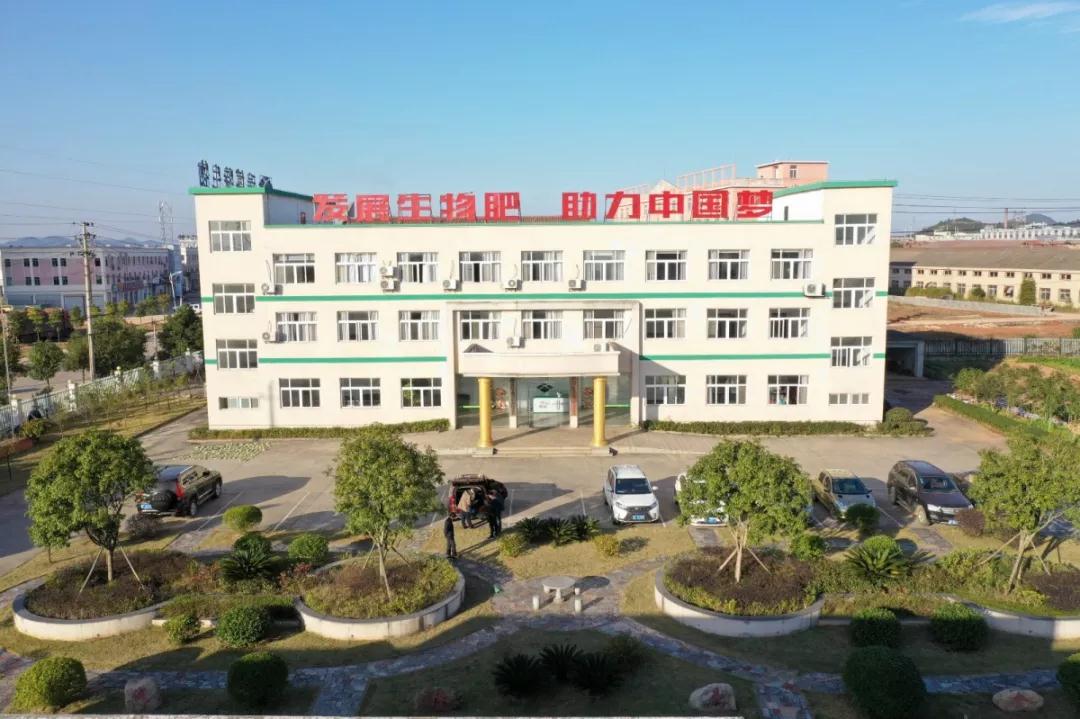 �����ޏ� ���B�Nֲ �����t�r�I�����`����