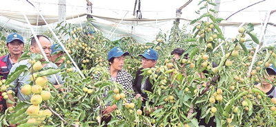 �ɿ����ɾͶ����Nֲ�_(d��)��