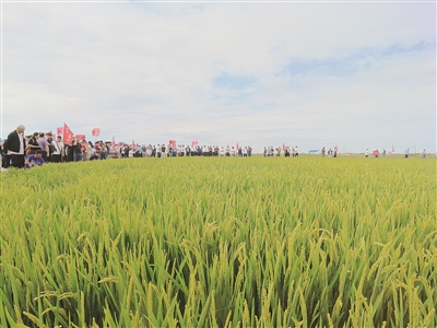 ��ȷʘI��׌�}�A��׃����