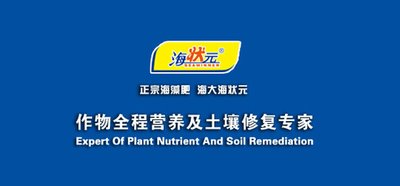 ��54321���I�N�����_��(chu��ng)���������¾���