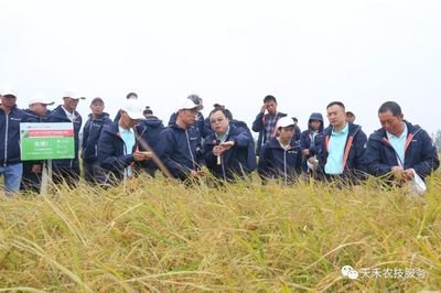 ����̼��ƽ��ʩ���Ŀ�����҇�ˮ���p����Ч̽·