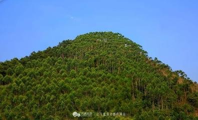 �V����@�����˷��ʢ�����_��