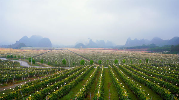 �����r�k���δ�ɺ���ܣ������r���߿����(sh��)���l(xi��ng)�����²���