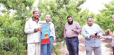 ������ɫ�е��Ї���