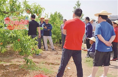 �P��������ϵ���^Ħ�����_��Ļ