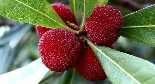 ���ώ����ҷN���×�÷