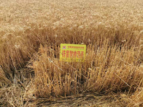 �����a�_200����ҾS��64%�\������@С���Nֲ�@����