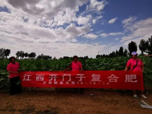 ������ء���ȫ���a����ץ���ɲ��`���_�T�ӷʘI�׼����F�_�T�t