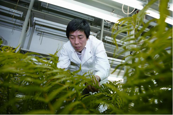 �`����Ҫ����  �����Ҫ���o---�ͬ���LՄ1265.png